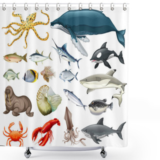 Personality  Set Of Different Types Of Sea Animals Shower Curtains