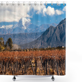 Personality  Volcano Aconcagua And Vineyard. Argentina Shower Curtains