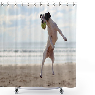 Personality  A Dog On The Beach Catching A Tennis Ball Shower Curtains
