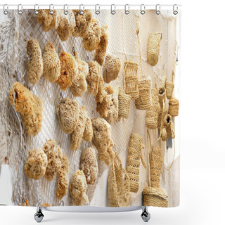 Personality  Natural Sponges On A Rustic Wall Shower Curtains