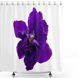 Personality  Blue Single Violet Flower Shower Curtains