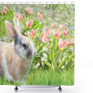 Personality  Cute Rabbit In The Grass With Tulips Shower Curtains