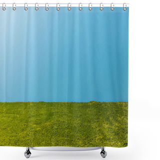Personality  Green Carpet In Front Of Blue Wall Shower Curtains