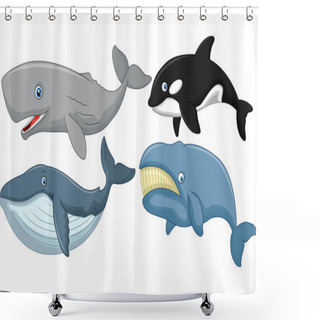 Personality  Cartoon Whale Collection Shower Curtains