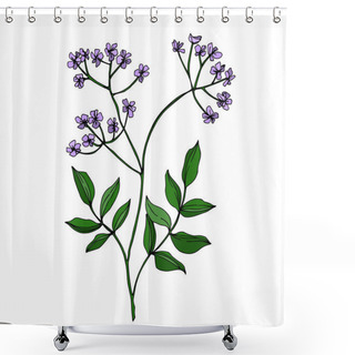 Personality  Vector Wildflowers Floral Botanical Flowers. Black And White Engraved Ink Art. Isolated Flower Illustration Element. Shower Curtains