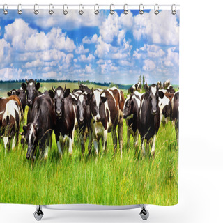 Personality  Cattle In The Meadow Shower Curtains