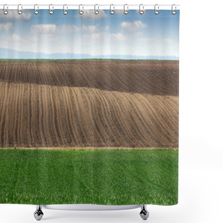 Personality  Plowed Field And Young Green Wheat Spring Season Landscape Agriculture Shower Curtains
