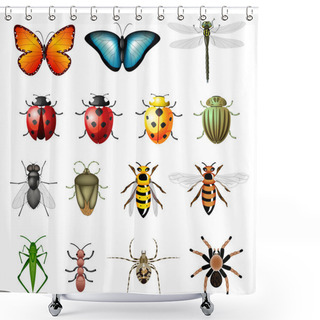 Personality  Updated Version Of Vector Insects - Bugs And Invertebrates Shower Curtains