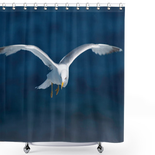 Personality  Seagull Flying Above Water Shower Curtains