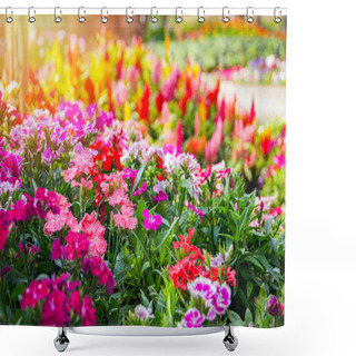 Personality  Colorful Garden Flower / Multi Color Green Lawn In Colorful Landscape Plant And Flower Blooming Spring Garden With Dianthus Celosia Argentea Or Plumed Cockscomb Blossom On Background Selective Focus Shower Curtains