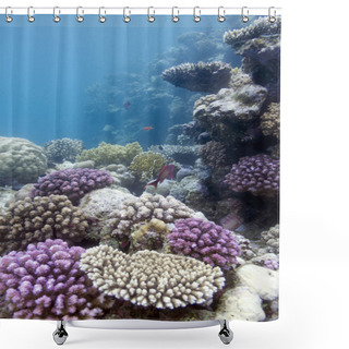 Personality  Coral Reef On The Bottom Of Sea Shower Curtains
