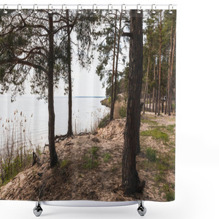 Personality  Trees Near Green Grass And Tranquil Lake  Shower Curtains