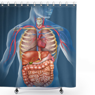 Personality  Human Body Shower Curtains