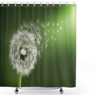Personality  Dandelion Clock In Morning Shower Curtains