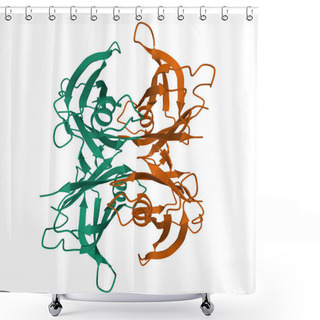 Personality  Wild Type Human Transthyretin (TTR), A 3D Ribbon Model Of The Homodimer Isolated, White Background Shower Curtains