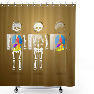 Personality  Illustration Of Human Anatomy Shower Curtains