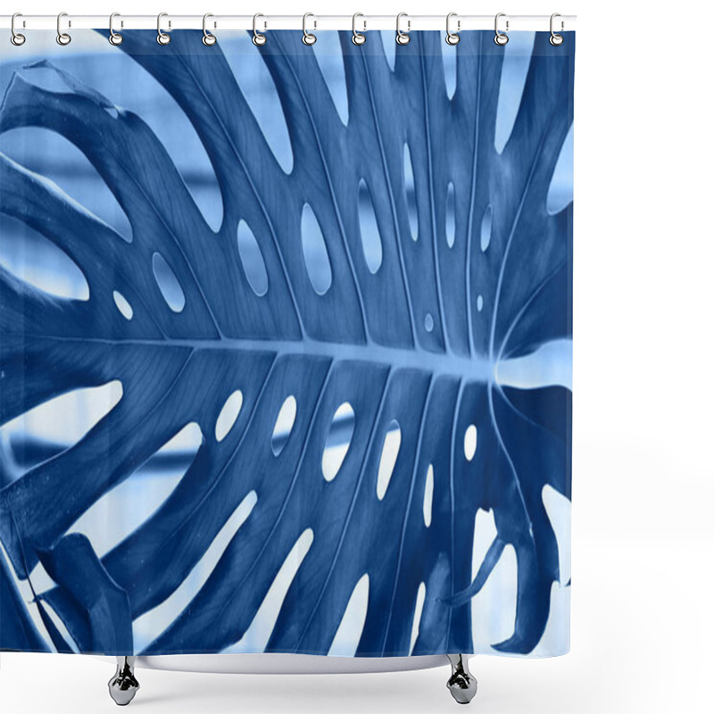 Personality  Classic Blue Background. Exotic Tropical Monstera (philodendron) Shower Curtains