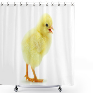 Personality   Shower Curtains