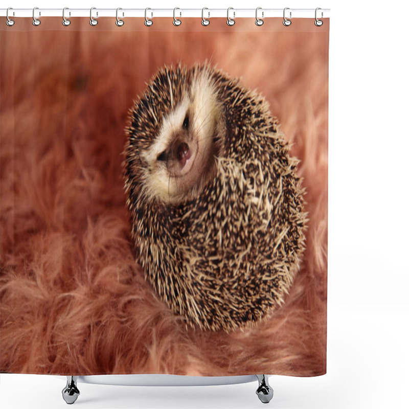 Personality  hedgehog laying down on it's back shower curtains
