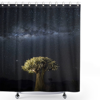 Personality  Quivertree Under Milky Way Shower Curtains
