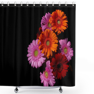 Personality  Top View Of Gerber Daisies Against A Black Background Shower Curtains