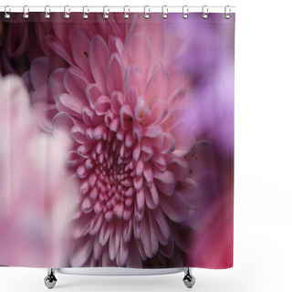 Personality  Beautiful Chrysanthemum Flowers Close Up  Shower Curtains