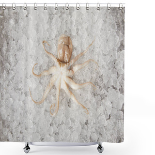 Personality  Top View Of Raw Octopus On Crushed Ice Shower Curtains