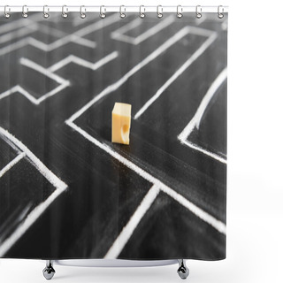 Personality  Selective Focus Of Cut Cheese In Painted Labyrinth Shower Curtains