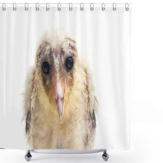 Personality  A Chick Of Barn Owl Tyto Alba Isolated On White Background Shower Curtains