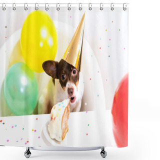 Personality  Cute Small Funny Dog With A Birthday Cake And A Party Hat Celebrating Birthday Shower Curtains