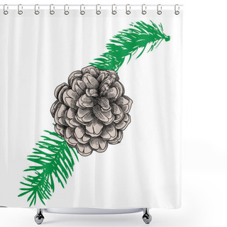 Personality  Pine Cone Hand Drawn Sketch Shower Curtains