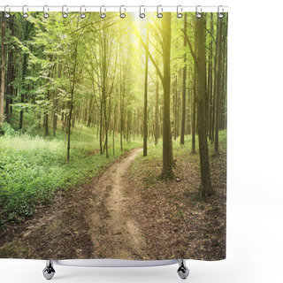 Personality  Beautiful Nature At Morning In The Misty Spring Forest With Sun Rays Shower Curtains