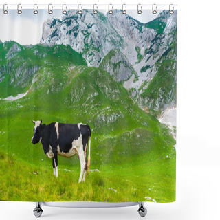 Personality  Cow Grazing On Green Valley In Durmitor Massif, Montenegro Shower Curtains