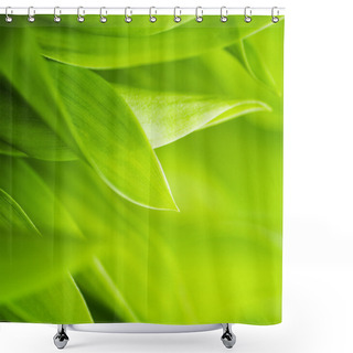 Personality  Fresh Green Grass (shallow DoF) Shower Curtains