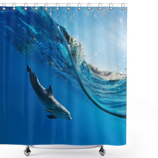 Personality  A Dolphin Swimming Underwater Shower Curtains