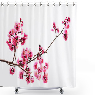 Personality  Vibrant Pink Cherry Blossom Or Sakura  Shower Curtains