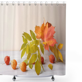 Personality  Maple And Ash Tree Leaves In Vase And Dried Plants Chinese Lantern In Interior. Autumn Colorful Composition As Decoration Indoor. Shower Curtains