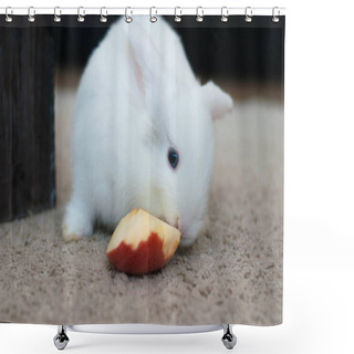 Personality  A Small White Rabbit Sits On A Black Carpet With A Piece Of Red Apple Shower Curtains