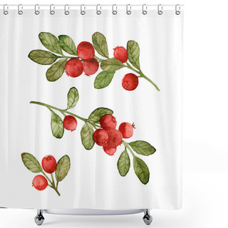 Personality  Set Of Hand Drawn Watercolor Twigs Of Lingonberry Isolated On White Background. Red Forest Berries. Botanical Illustration. Shower Curtains