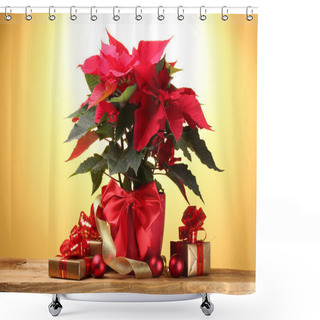 Personality  Beautiful Poinsettia In Flowerpot Shower Curtains