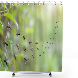 Personality  Swarm Of Mosquitoes Fly In The Park Shower Curtains