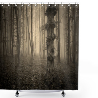 Personality  Dark Spooky Forest Shower Curtains