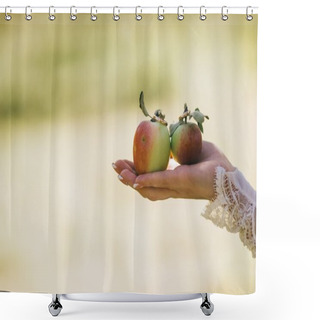 Personality  Hand Of Bride Holding A Green Apples Shower Curtains