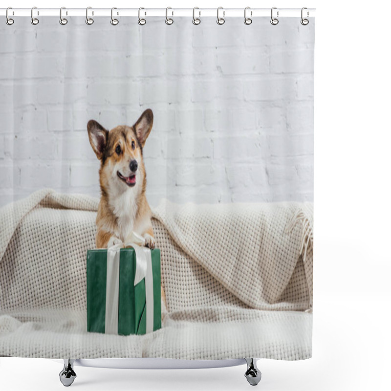 Personality  Cute Pembroke Welsh Corgi Dog On Sofa With Green Gift Shower Curtains