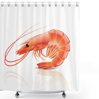 Personality  Cooked Shrimp Isolated On White Shower Curtains