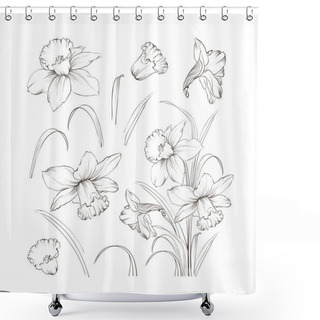 Personality  Set Of Line Drawing Narcissus, Vector Illustration Shower Curtains