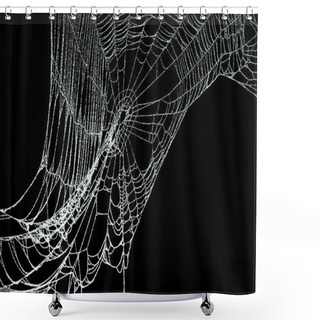 Personality  Real Frost Covered Spider Web Isolated On Black Shower Curtains