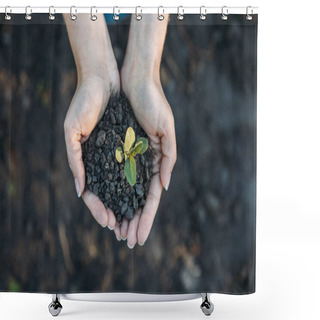 Personality  Hands Holding Young Plant With Soil  Shower Curtains