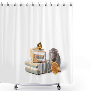 Personality   Charming Pet. Decorative Dumbo Rat On A White Isolated Backgrou Shower Curtains