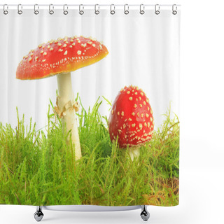 Personality  Fly Agaric Mushrooms (Amanita Muscaria) Shower Curtains